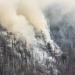 lightning-strike-ignites-17-acre-flint-gap-fire-in-great-smoky-mountains-containment-efforts-underway-2